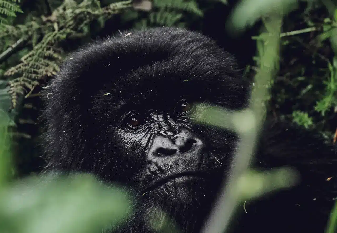 image ‣ Book Your Stay